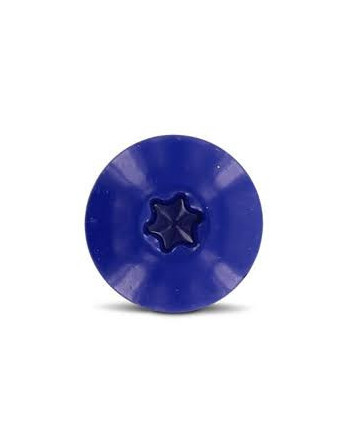 Vis de facade TORX T20 4.8X38 Diamètre de tête: 12.3 Inox A2 RAL5002