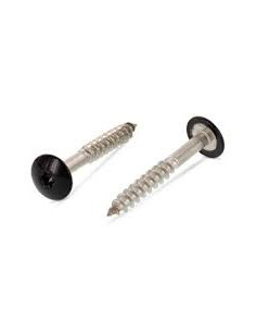 Vis de facade TORX T20 5.5X35 Diamètre de tête: 12.3 Inox...