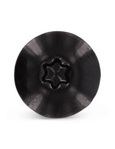 Vis de facade TORX T20 5.5X35 Diamètre de tête: 12.3 Inox... 2
