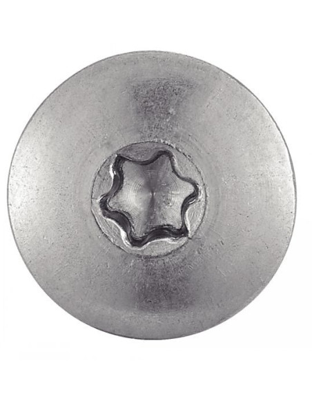 1 x Vis de facade TORX T20 5.5X55 Diamètre de tête: 12.3 Inox A2