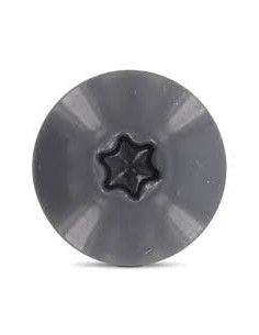 Vis de facade TORX T20 4.8X38 Diamètre de tête: 12.3 Inox... 2