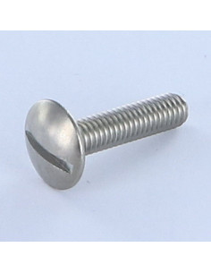 Vis Poelier Fendue Inox A2 M6X16 Frein filet