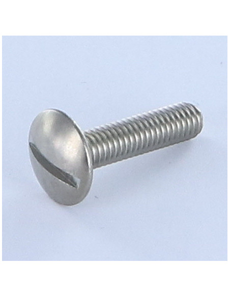 1 x Vis Poelier Fendue Inox A2 M6X16 Frein filet