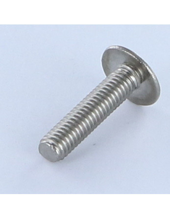 Vis Poelier Fendue Inox A2 M6X16 Frein filet