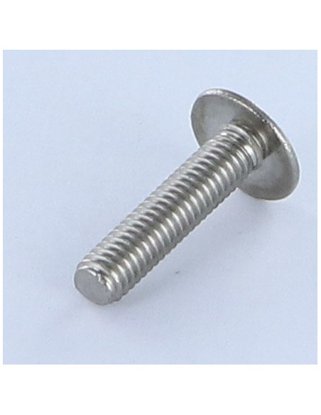 1 x Vis Poelier Fendue Inox A2 M6X16 Frein filet