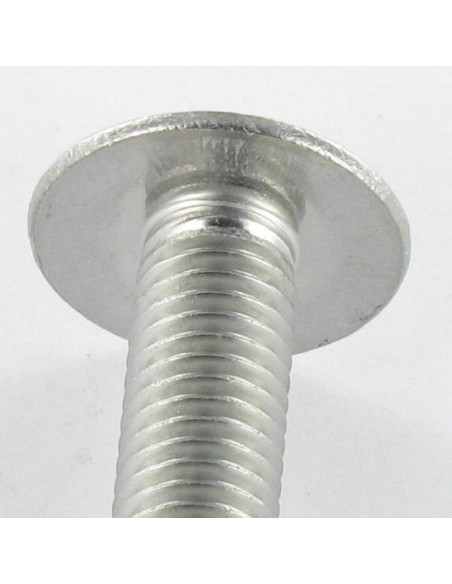 1 x Vis Poelier Fendue Inox A2 M6X16 Frein filet