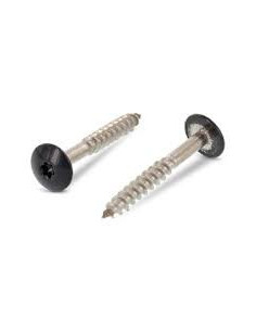 Vis de facade TORX T20 5.5X32 Diamètre de tête: 12.3 Inox...