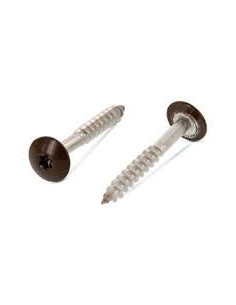 Vis de facade TORX T20 5.5X38 Diamètre de tête: 12.3 Inox...