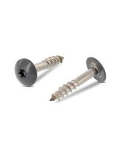 Vis de facade TORX T20 5.5X35 Diamètre de tête: 12.3 Inox...