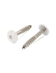 Vis de facade TORX T20 5.5X32 Diamètre de tête: 12.3 Inox...