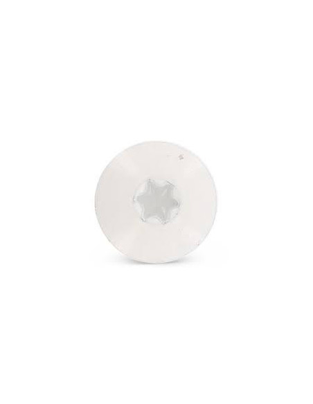 1 x Vis de facade TORX T20 5.5X32 Diamètre de tête: 12.3 Inox A2 RAL9010 blanc pur