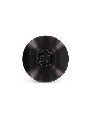 Vis de facade TORX T20 5.5X32 Diamètre de tête: 12.3 Inox A2 RAL9005 noir foncé