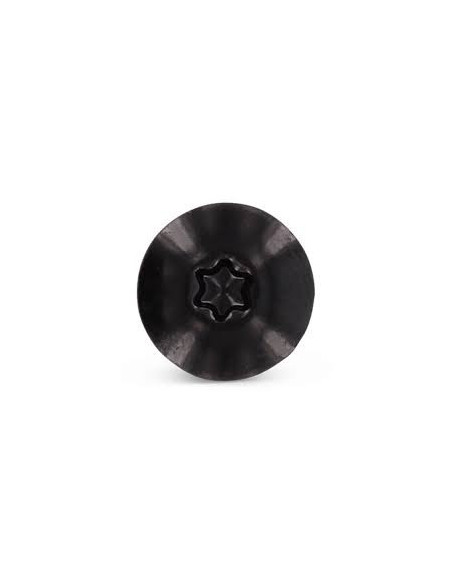 1 x Vis de facade TORX T20 5.5X38 Diamètre de tête: 12.3 Inox A2 RAL9005 noir foncé