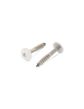 Vis de facade TORX T20 5.5X38 Diamètre de tête: 12.3 Inox A2 RAL9010 blanc pur