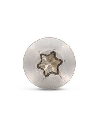 VBA Vis bois agglo Tête fraisée bombée TFB TORX T25 5X60 Filetée sur 36 Inox A4