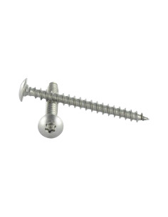 Vis Penture 6X50 Filetée sur 38 TORX T30 Inox A4