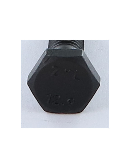 1 x Corps de boulon filetage partiel Tête hexagonale TH M6X35 Classe 12.9 Acier brut
