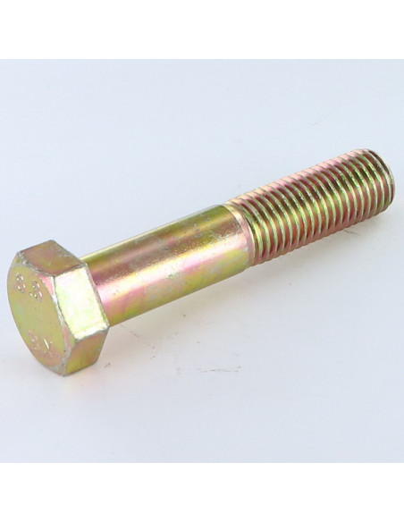 1 x Corps de boulon filetage partiel Tête hexagonale TH M20X65 Classe 8.8 Bichromaté