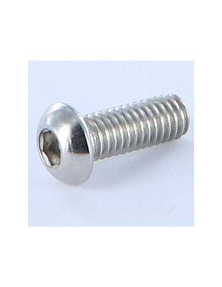 1 x Vis métaux BHC (Tête Bombée Hexagonal creux) M6X10 Filetage total Clé de 4 HC4 Inox A4