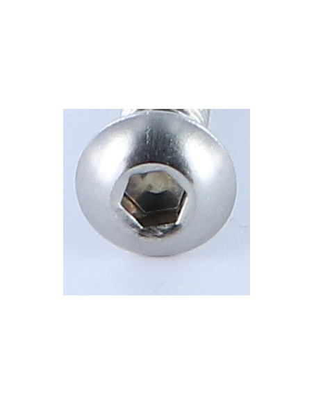 1 x Vis métaux BHC (Tête Bombée Hexagonal creux) M8X25 Filetage total Clé de 5 HC5 Inox A4