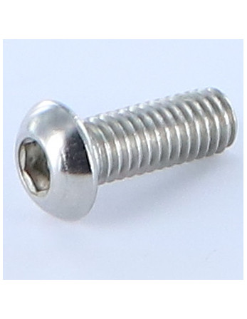 Vis métaux BHC (Tête Bombée Hexagonal creux) M6X16 Filetage total Clé de 4 HC4 Inox A4