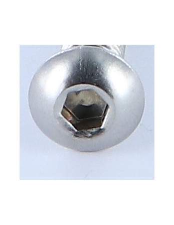 Vis métaux BHC (Tête Bombée Hexagonal creux) M6X30 Filetage total Clé de 4 HC4 Inox A4