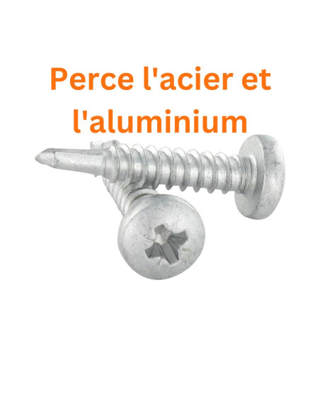 1 x Vis autoperceuse Tête cylindrique TC Pozi 4.8X25 Inox AISI 410