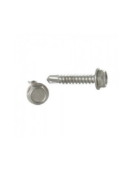 1 x Vis autoperceuse Tête hexagonale TH 5.5X19 Inox A4