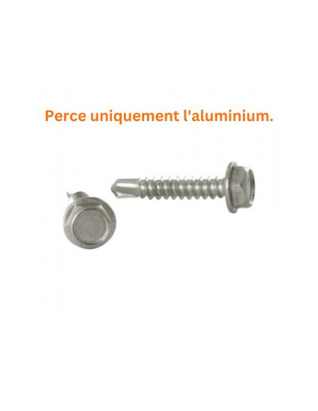 1 x Vis autoperceuse Tête hexagonale TH 5.5X19 Inox A4