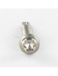 Vis autoperceuse Tête cylindrique TC TORX T15 3.9X19 Inox A4 2