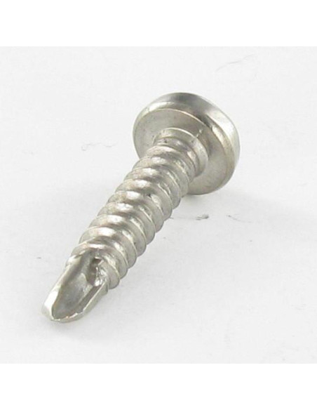 1 x Vis autoperceuse Tête cylindrique TC TORX T15 3.9X19 Inox A4