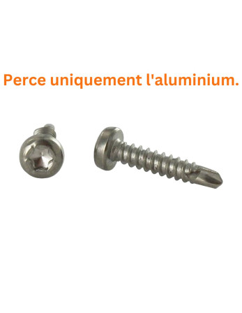 Vis autoperceuse Tête cylindrique TC TORX T15 3.9X19 Inox A4