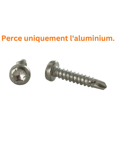 1 x Vis autoperceuse Tête cylindrique TC TORX T15 3.9X19 Inox A4