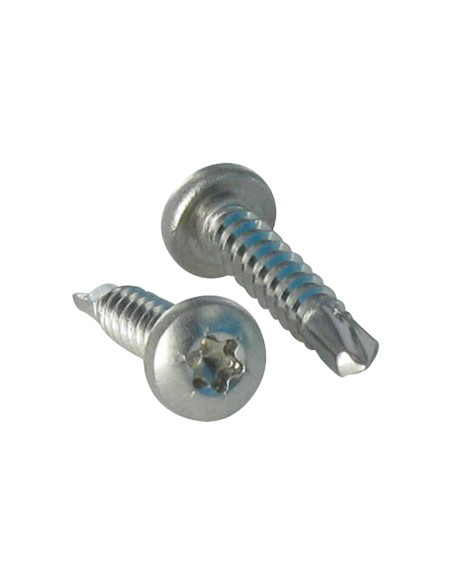1 x Vis autoperceuse Tête cylindrique bombée TCB TORX T20 4.2X25 TORX T20 Inox A2