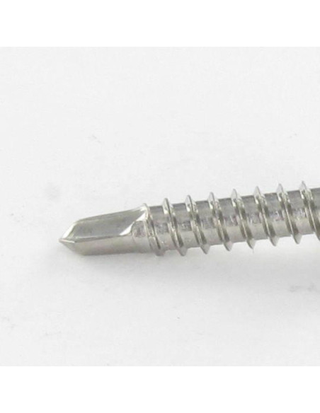 1 x Vis autoperceuse Tête cylindrique bombée TCB TORX T20 4.2X19 TORX T20 Inox A2