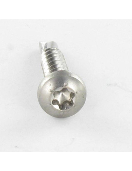 1 x Vis autoperceuse Tête cylindrique bombée TCB TORX T20 4.2X19 TORX T20 Inox A2