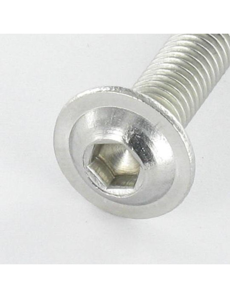 1 x Vis métaux BHC (Tête Bombée Hexagonal creux) Embase collerette M8X60 Clé de 5 HC5 Inox A2