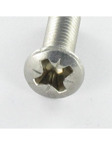 1 x Vis métaux Inox A2 Tête fraisée bombée TFB Pozi M6X12