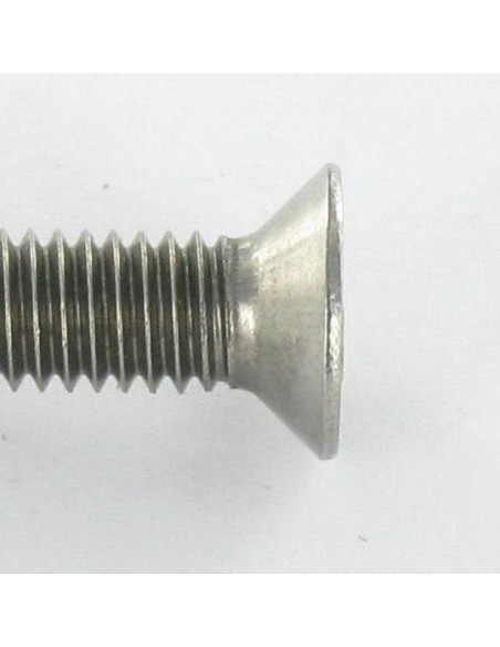 1 x Vis métaux Inviolable Tête fraisée Snake eyes M5X12 Inox A2