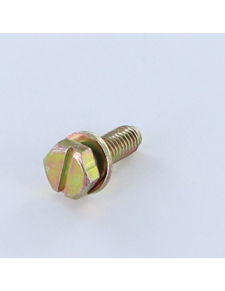 1 x Vis métaux Tête hexagonal fendue M6X18 Avec Rondelle Bichromaté