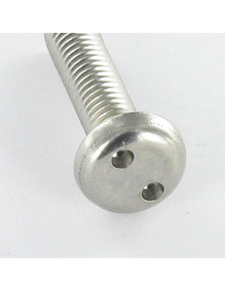 1 x Vis métaux Inviolable Tête cylindrique TC SNAKE EYE M4X10 Inox A2 EMBT8