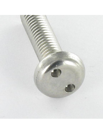 Vis métaux Inviolable Tête cylindrique TC SNAKE EYE M4X16 Inox A2 EMBT8