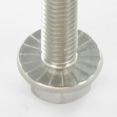 1 x Vis métaux Tête hexagonale TH Embase collerette crantée M6X12 Inox A2
