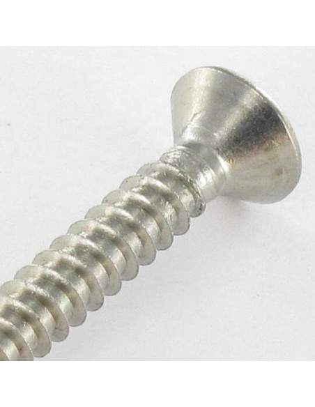 1 x Vis tôle Tête fraisée 4.8X100 Inox A2