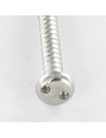 Vis tôle Inviolable Tête cylindrique TC Snake eyes 4.2X25 Inox A2