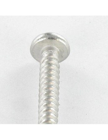 Vis tôle Inviolable Tête cylindrique TC Snake eyes 4.8X50 Inox A2