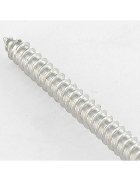 1 x Vis tôle Inviolable Tête cylindrique TC Snake eyes 4.8X38 Inox A2