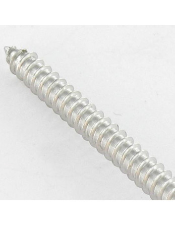 Vis tôle Inviolable Tête cylindrique TC Snake eyes 4.2X19 Inox A2