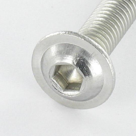 1 x Vis métaux BHC (Tête Bombée Hexagonal creux) Embase collerette M10X16 Clé de 6 HC6 Inox A2