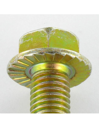 Vis métaux Tête hexagonale TH M6X8 Embase collerette crantée Classe 8.8 Bichromaté